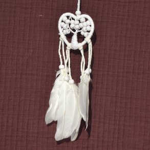 Dr�mmefanger Hjertetr�