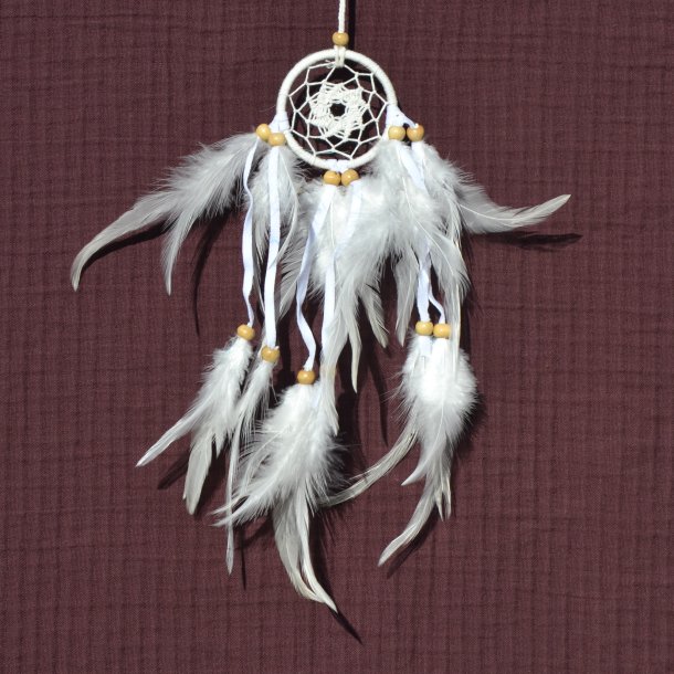 Dr�mmefanger - stjernesk�r