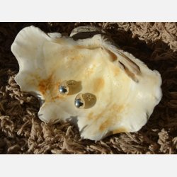 Slvrering - Teardrop