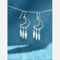 Slv rering - mne og fjer