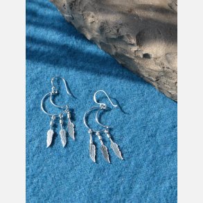 Slv rering - mne og fjer